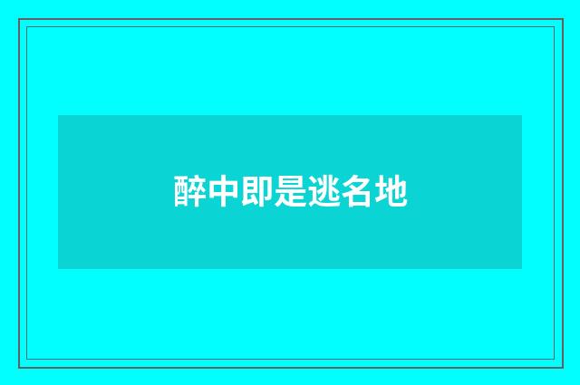 醉中即是逃名地