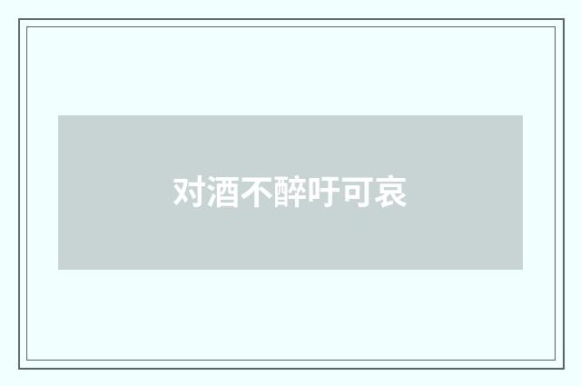 对酒不醉吁可哀