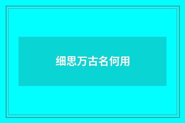 细思万古名何用