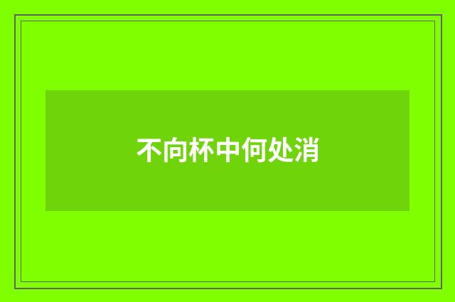 不向杯中何处消
