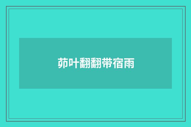 茆叶翻翻带宿雨