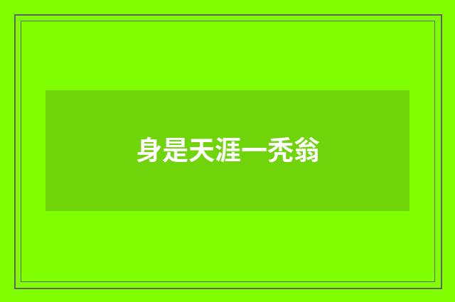 身是天涯一秃翁