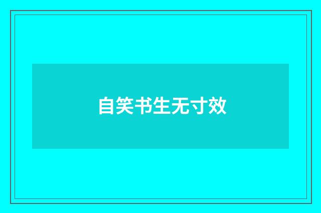 自笑书生无寸效