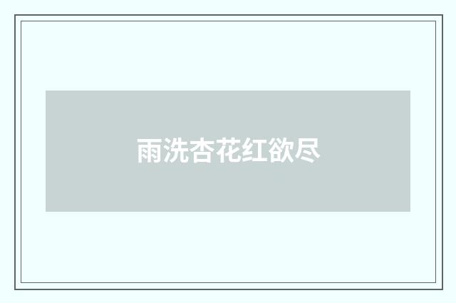 雨洗杏花红欲尽