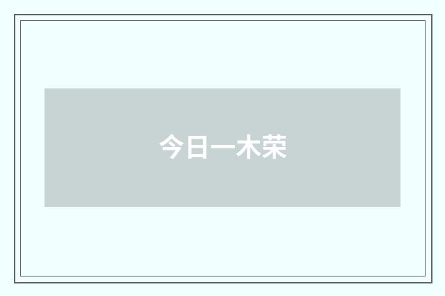 今日一木荣