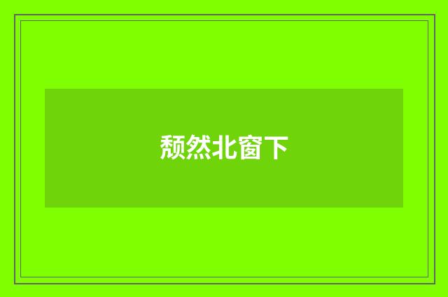 颓然北窗下