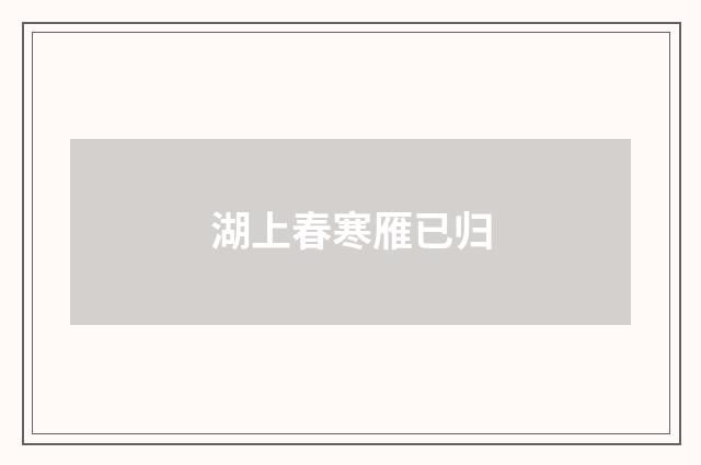 湖上春寒雁已归