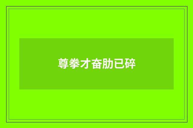 尊拳才奋肋已碎