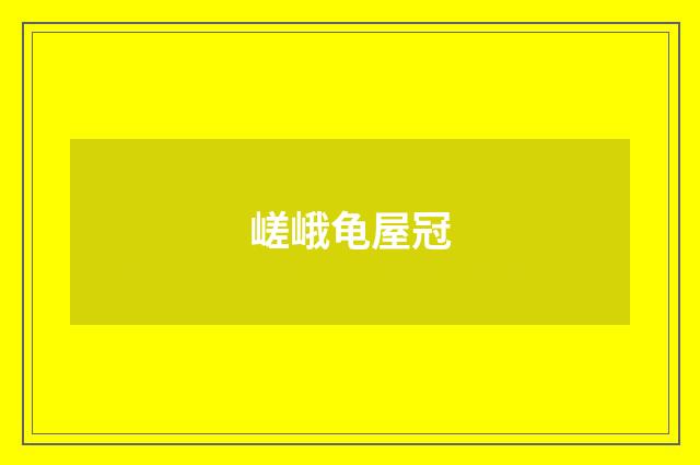 嵯峨龟屋冠