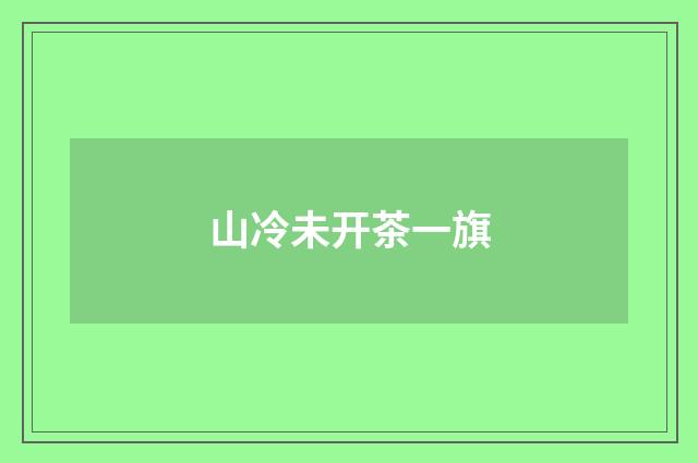 山冷未开茶一旗