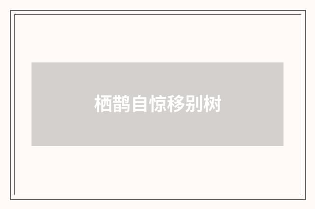 栖鹊自惊移别树