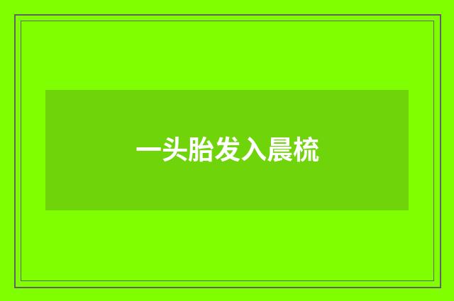 一头胎发入晨梳