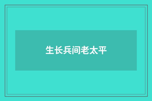 生长兵间老太平