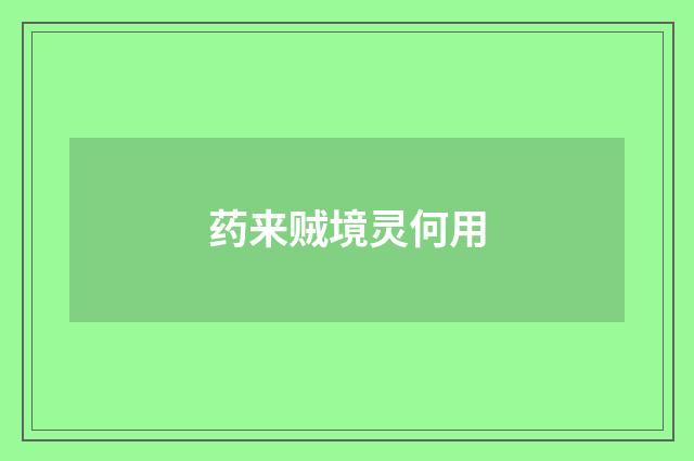 药来贼境灵何用