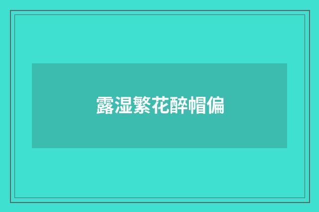 露湿繁花醉帽偏