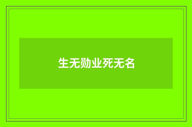 生无勋业死无名