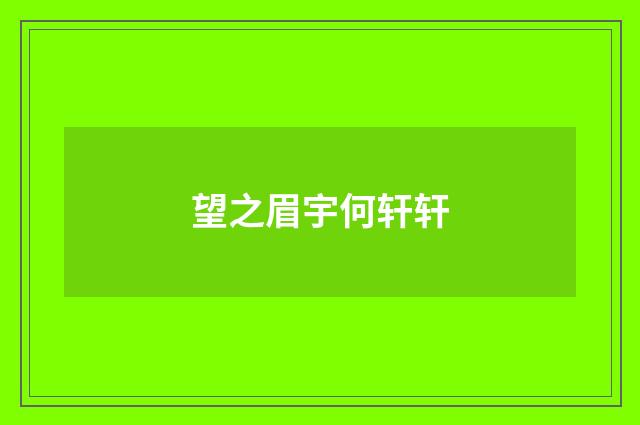 望之眉宇何轩轩