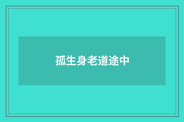 孤生身老道途中