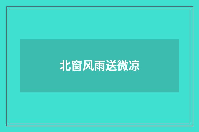 北窗风雨送微凉