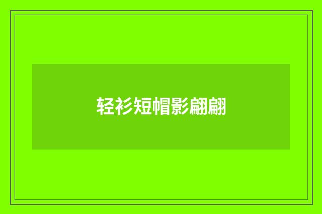 轻衫短帽影翩翩