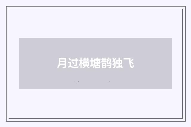 月过横塘鹊独飞