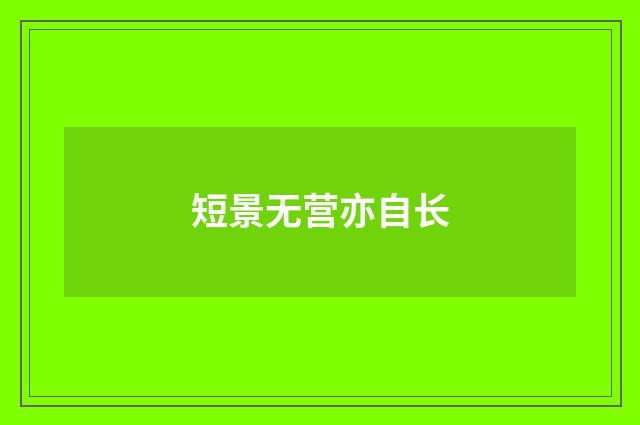 短景无营亦自长