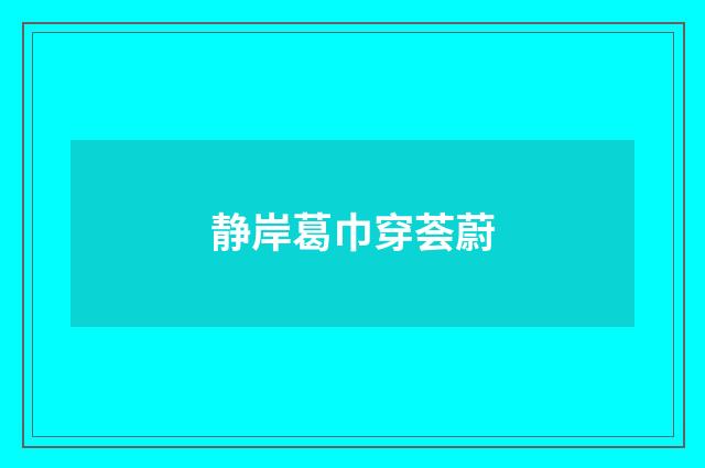 静岸葛巾穿荟蔚