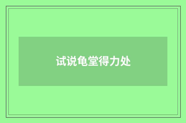 试说龟堂得力处