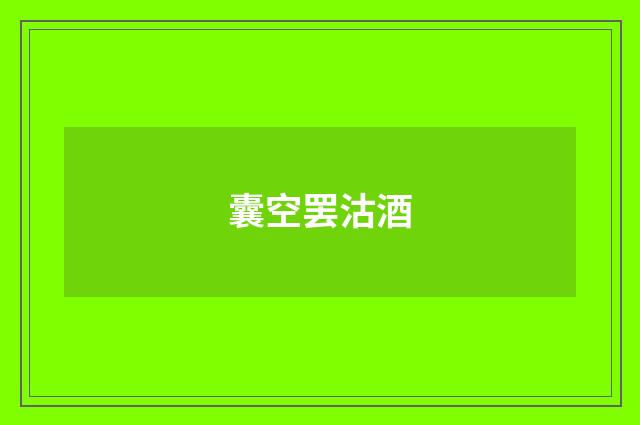 囊空罢沽酒