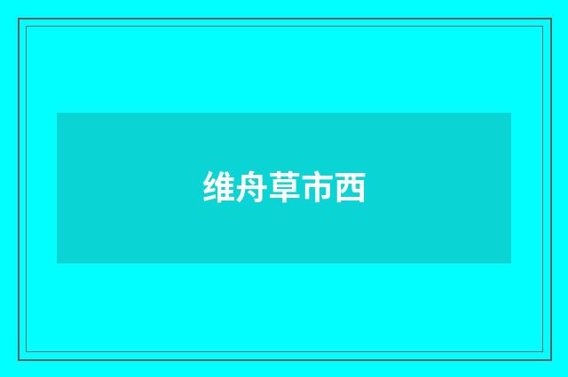 维舟草市西