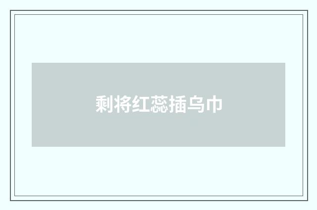 剩将红蕊插乌巾