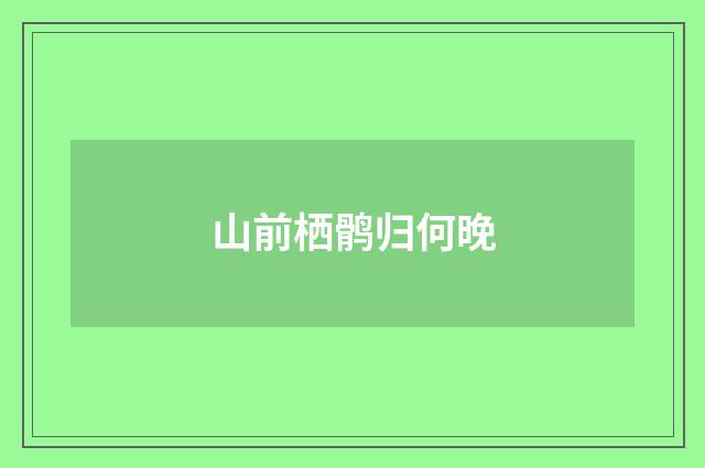 山前栖鹘归何晚