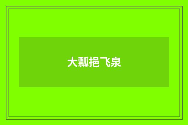 大瓢挹飞泉