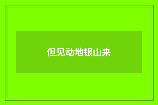 但见动地银山来