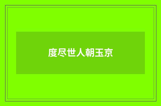 度尽世人朝玉京