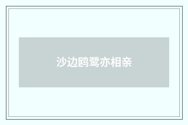 沙边鸥鹭亦相亲