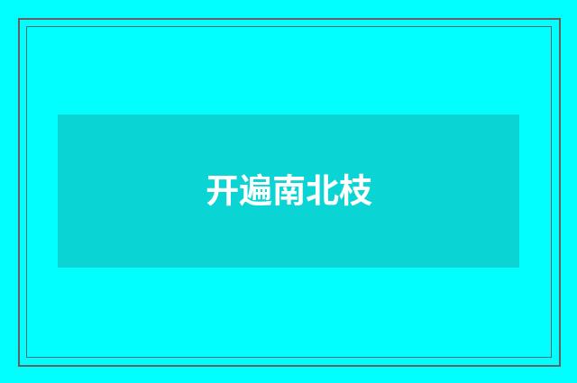 开遍南北枝