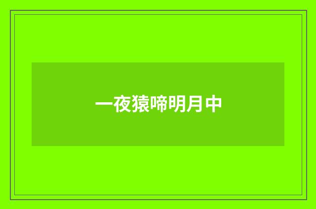 一夜猿啼明月中