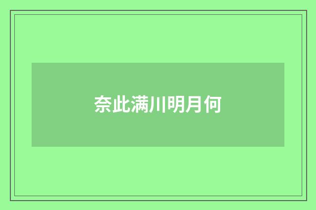 奈此满川明月何