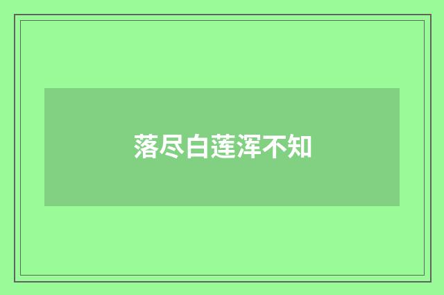 落尽白莲浑不知