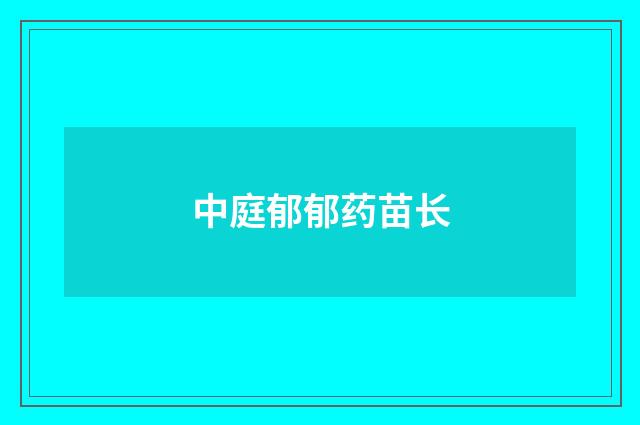 中庭郁郁药苗长