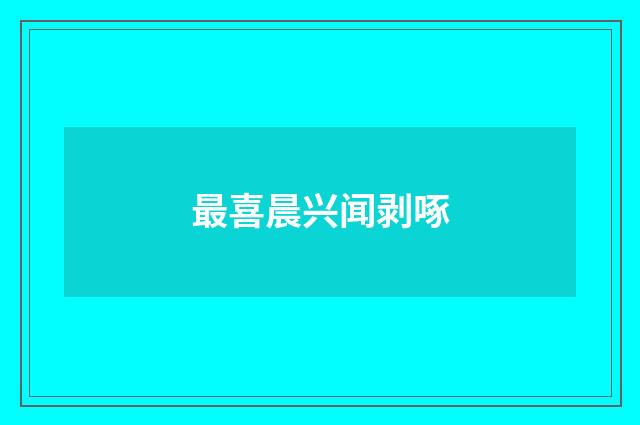 最喜晨兴闻剥啄