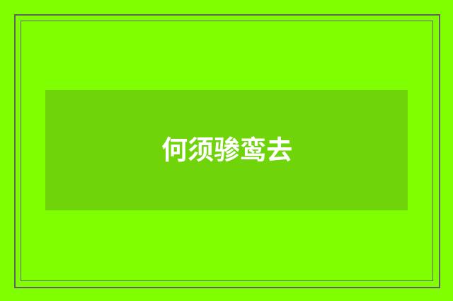 何须骖鸾去