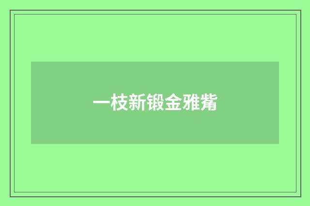 一枝新锻金雅觜
