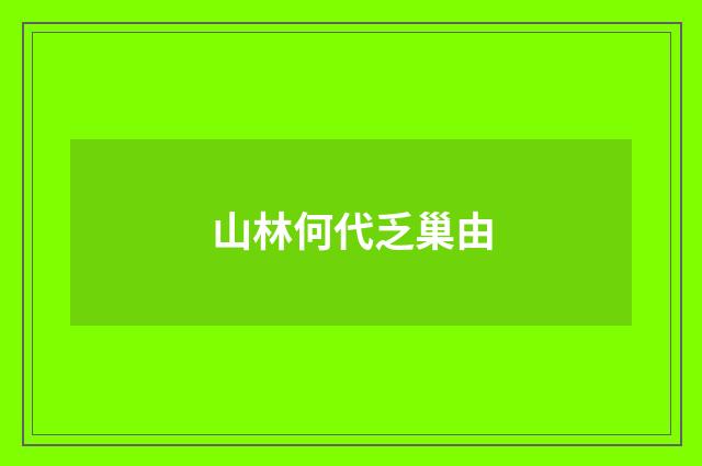 山林何代乏巢由