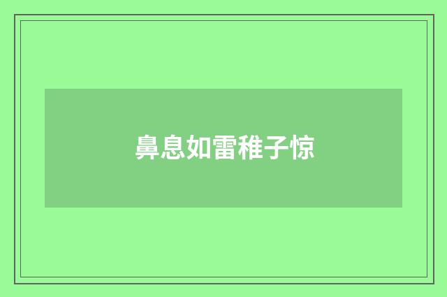 鼻息如雷稚子惊