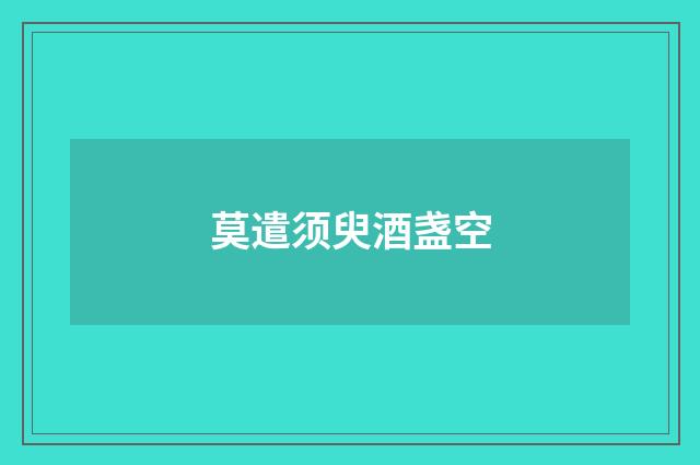 莫遣须臾酒盏空