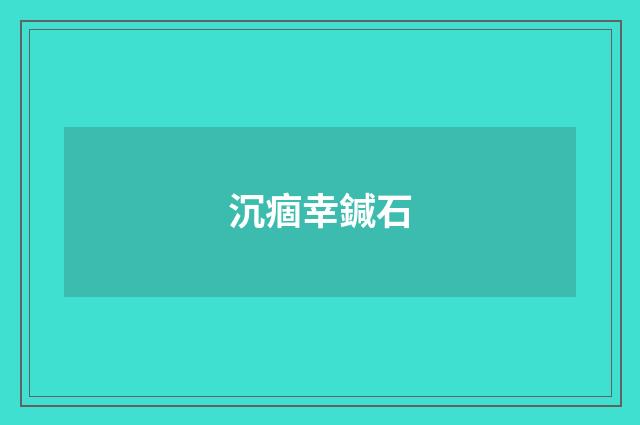 沉痼幸鍼石