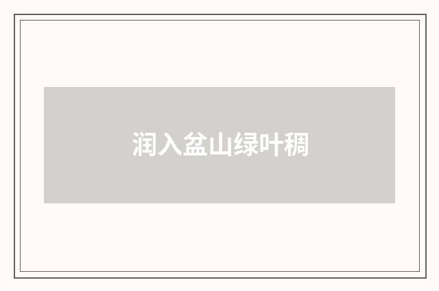 润入盆山绿叶稠