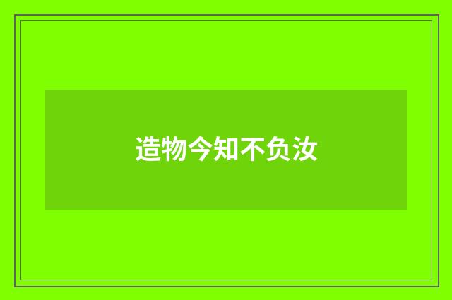 造物今知不负汝